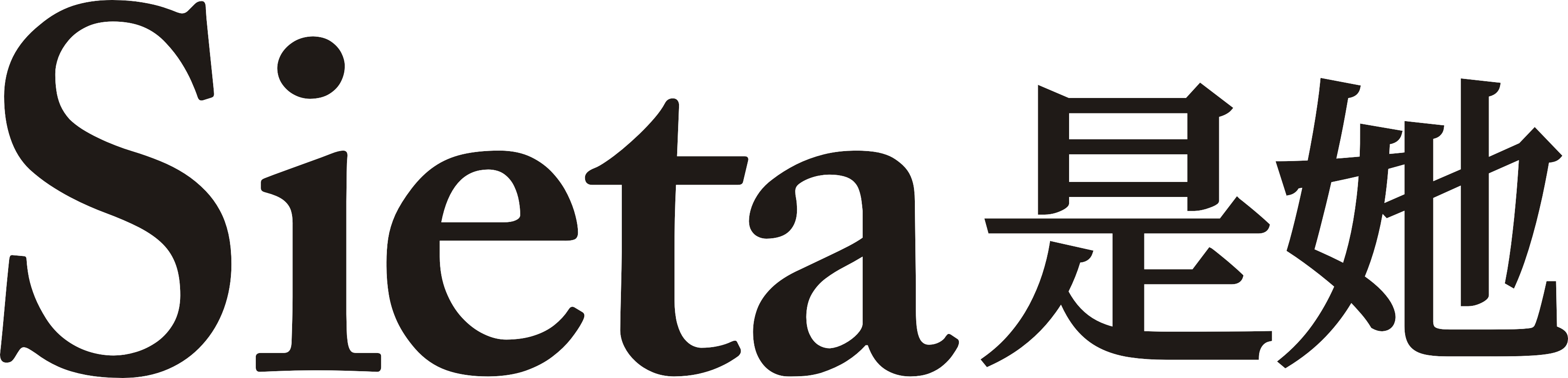 SIETA 是她